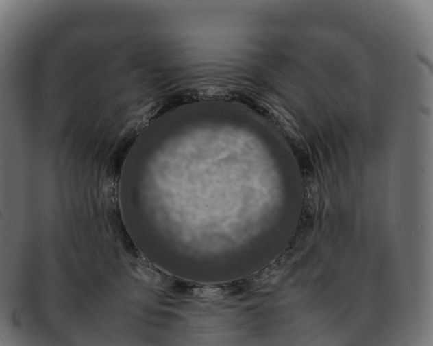 X0000092220419200710121201