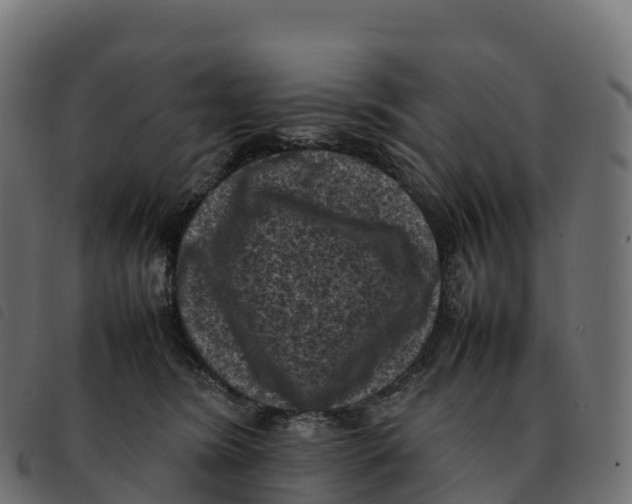 X0000092220420200710121201