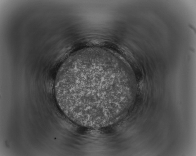 X0000092220423200710121201