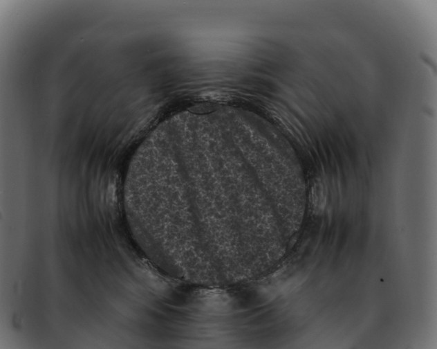 X0000092220424200710121201