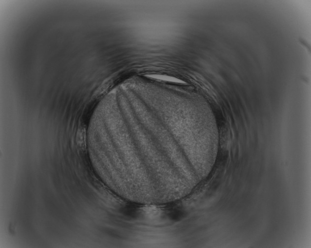 X0000092220425200710121201