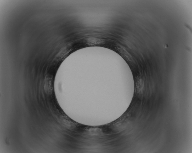 X0000092220426200710121201