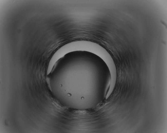 X0000092220428200710121201