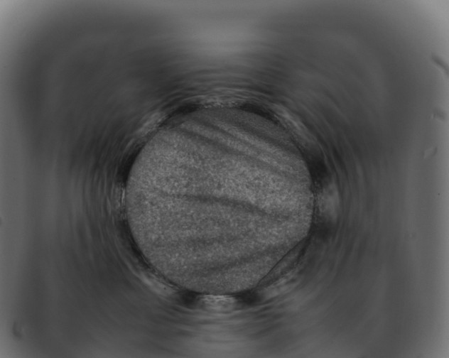 X0000092220429200710121201