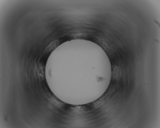 X0000092220430200710121201