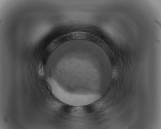 X0000092220431200710121201