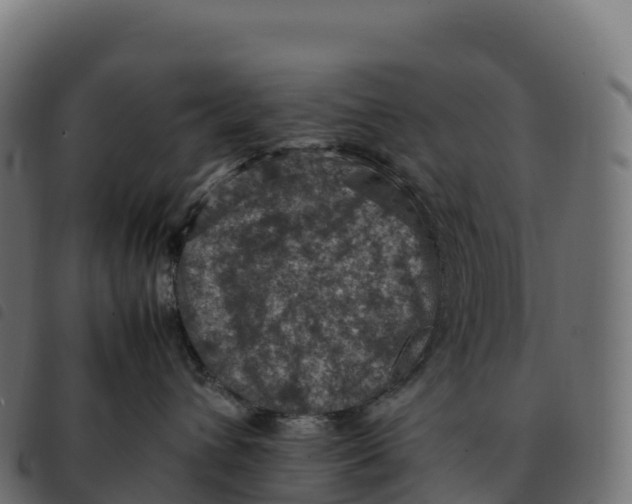 X0000092220432200710121201