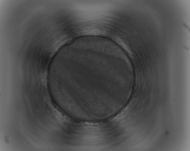 X0000092220434200710121200