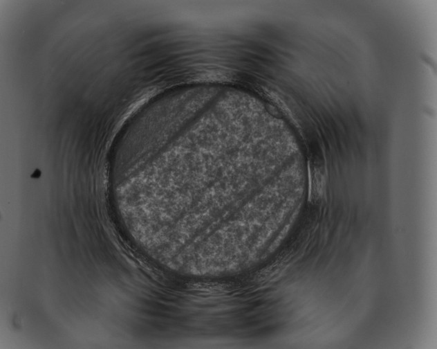 X0000092220435200710121200