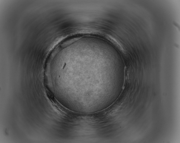 X0000092220436200710121200