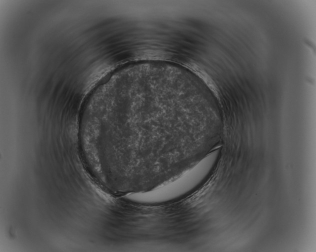 X0000092220437200710121200