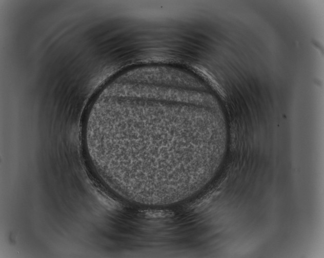 X0000092220439200710121200