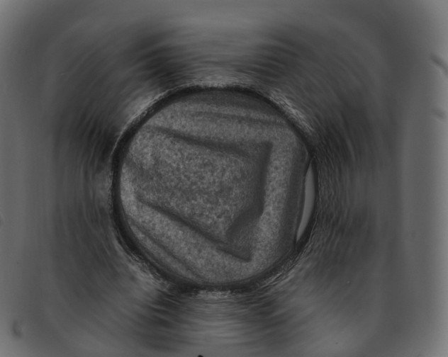 X0000092220440200710121200