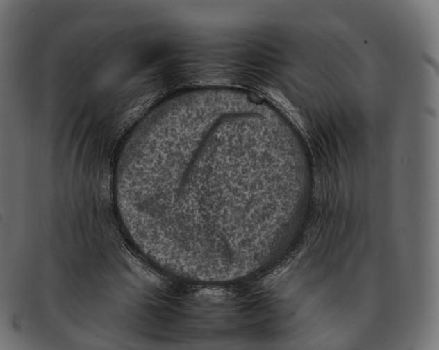 X0000092220441200710121200