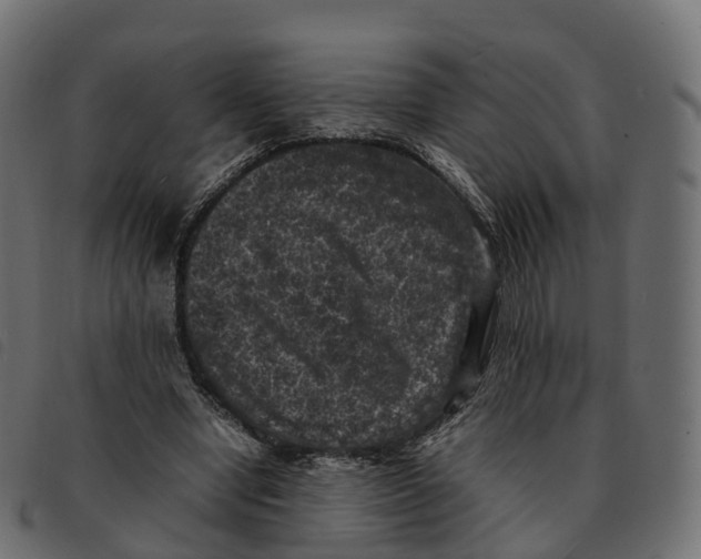 X0000092220442200710121200