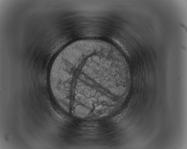 X0000092220443200710121200