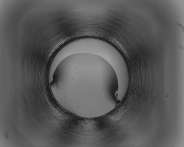 X0000092220444200710121200