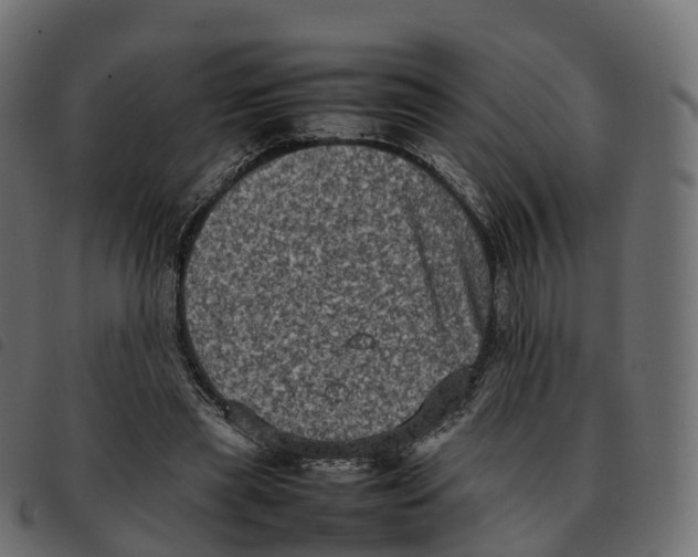 X0000092220445200710121200