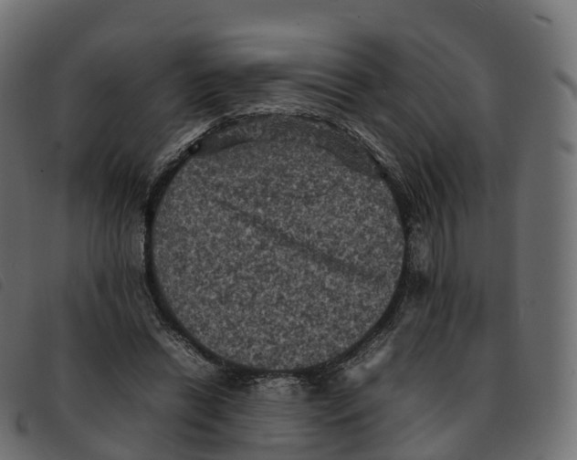 X0000092220446200710121200