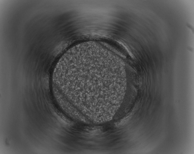 X0000092220447200710121200