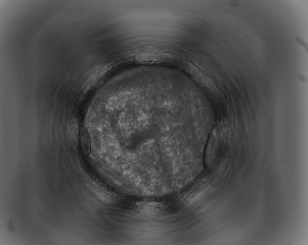 X0000092220448200710121200