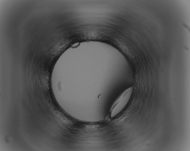 X0000092220450200710121200