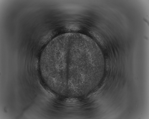 X0000092220451200710121200