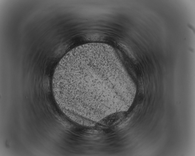 X0000092220453200710121200