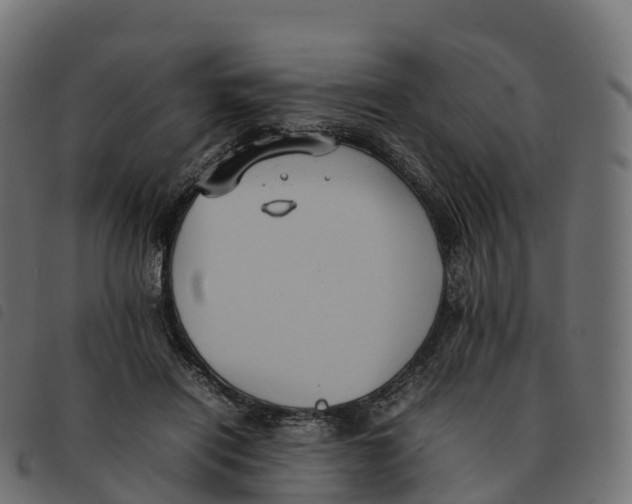 X0000092220454200710121200