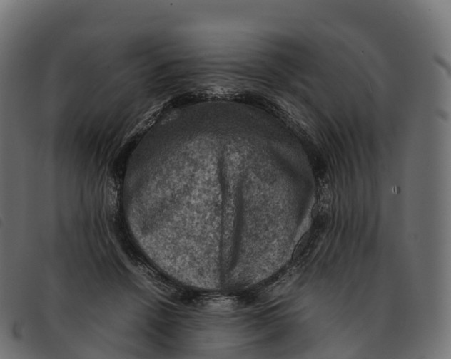 X0000092220456200710121200