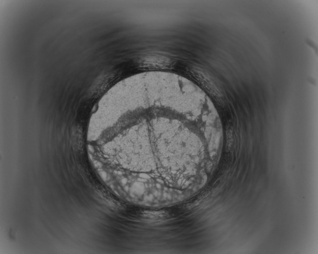 X0000092220457200710121200