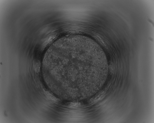 X0000092220458200710121200