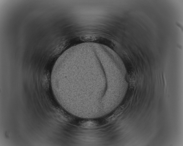 X0000092220460200710121200