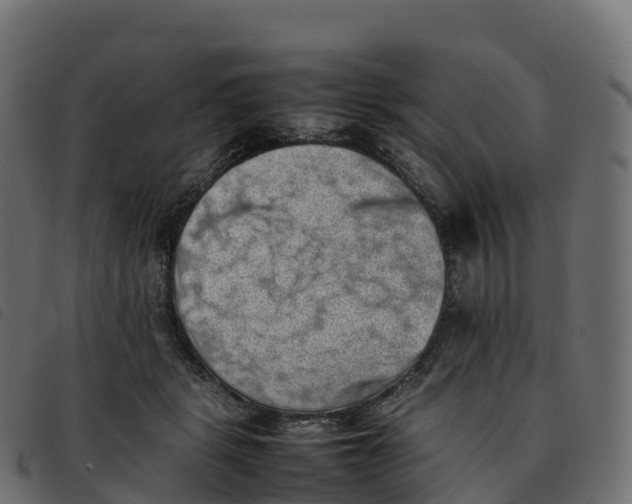 X0000092220461200710121200