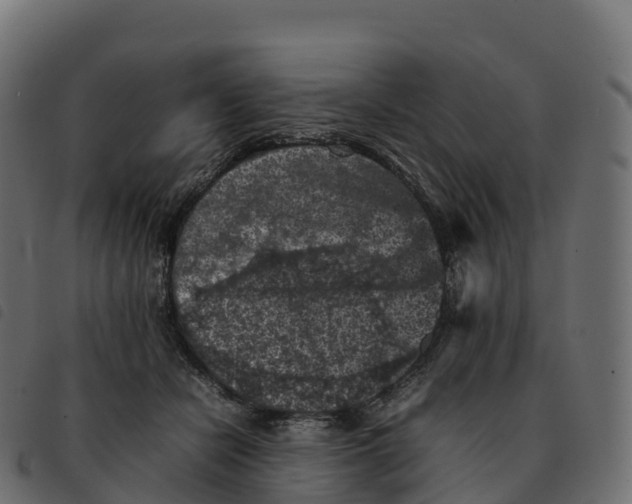 X0000092220462200710121200