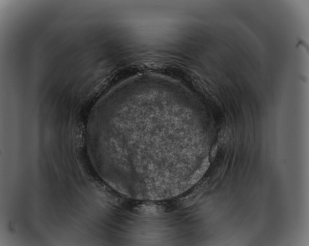 X0000092220464200710121200