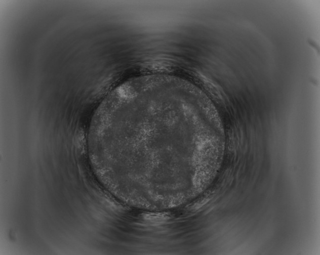 X0000092220465200710121200