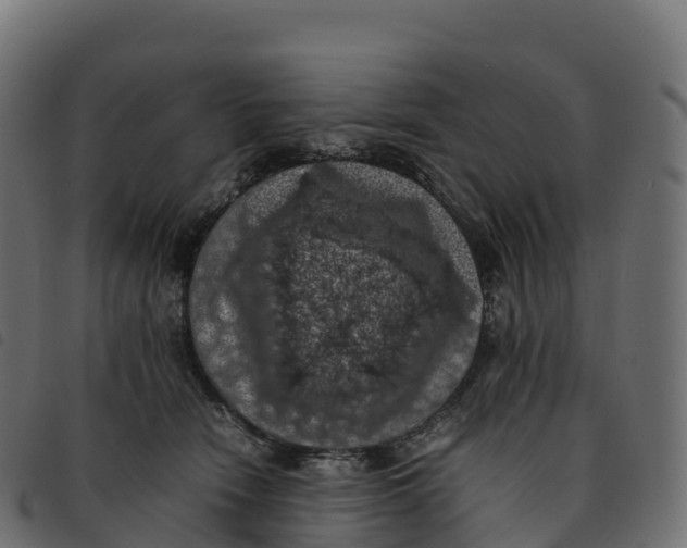 X0000092220466200710121200