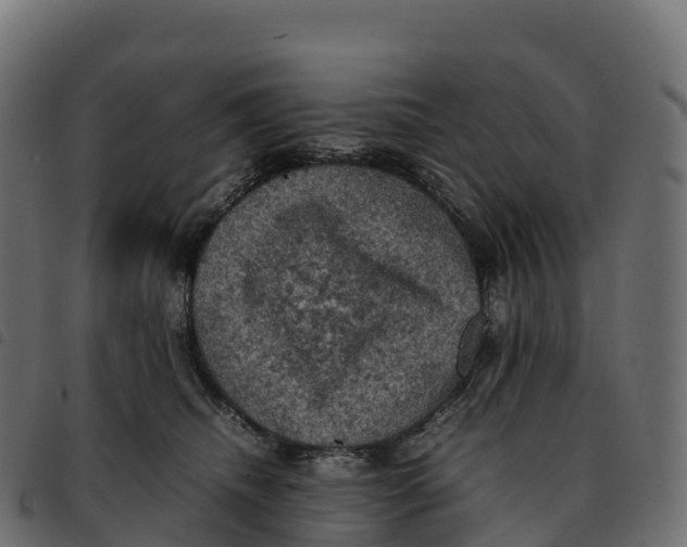 X0000092220468200710121200