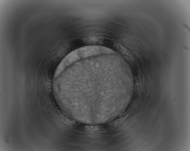 X0000092220469200710121200