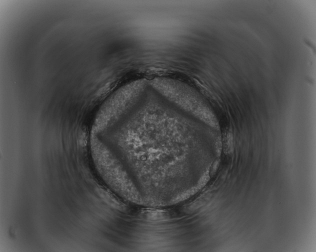 X0000092220472200710121200