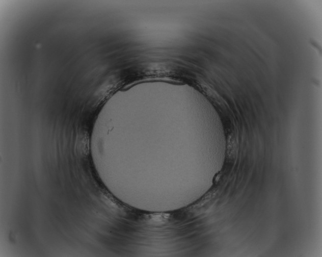 X0000092220474200710121200