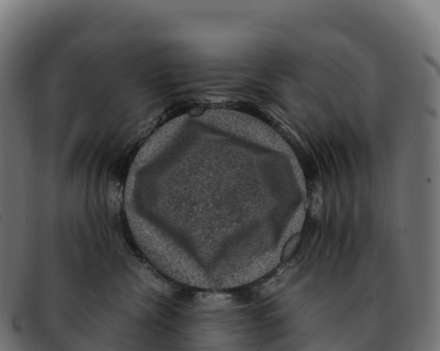 X0000092220476200710121200