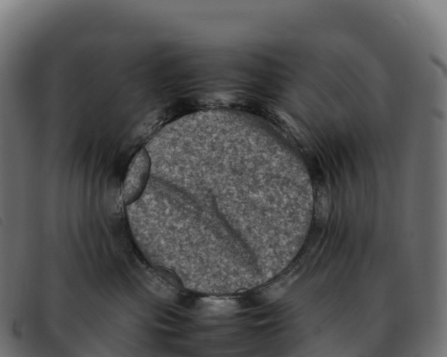 X0000092220477200710121201