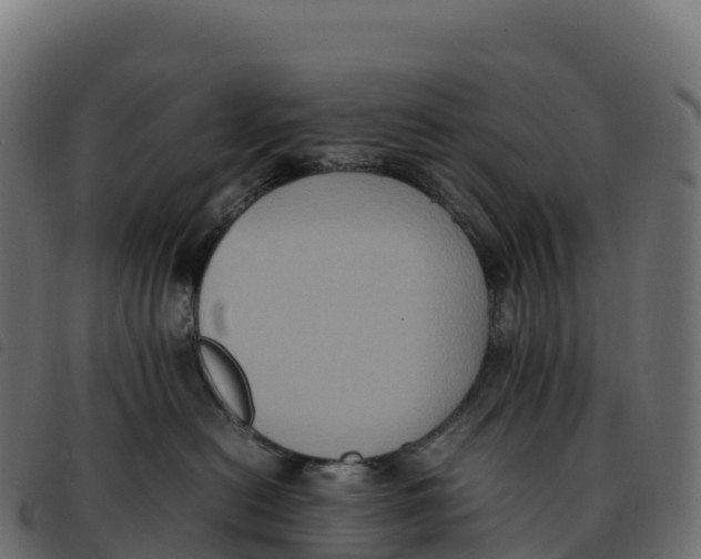 X0000092220478200710121201