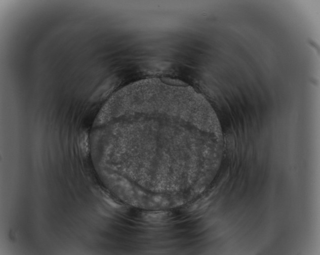 X0000092220479200710121201