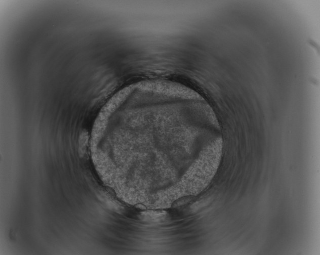 X0000092220480200710121201