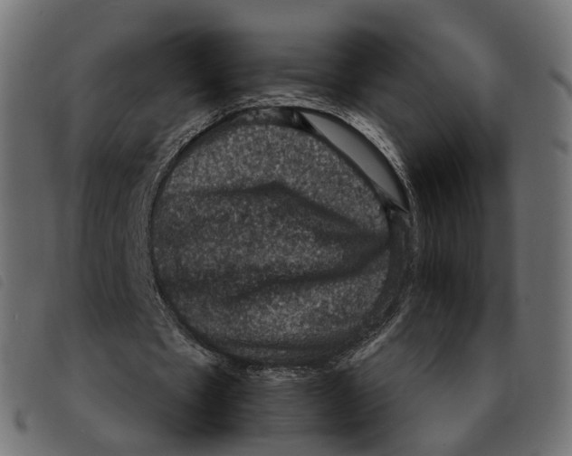 X0000092220481200710121200