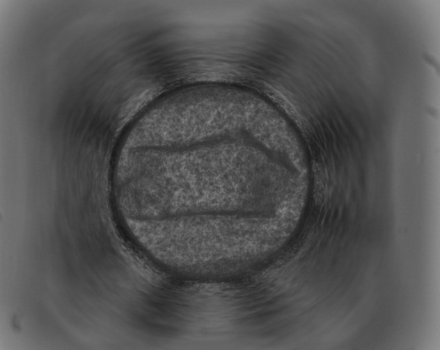 X0000092220482200710121200