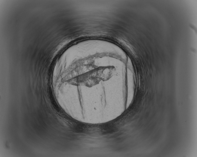 X0000092220483200710121200